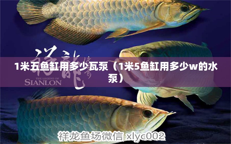 1米五魚缸用多少瓦泵（1米5魚缸用多少w的水泵）