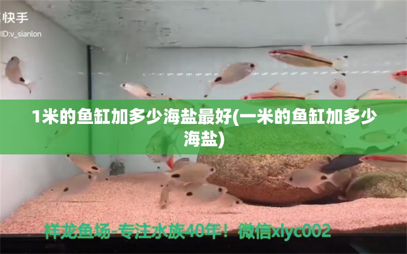 1米的魚缸加多少海鹽最好(一米的魚缸加多少海鹽) 斑馬鴨嘴魚