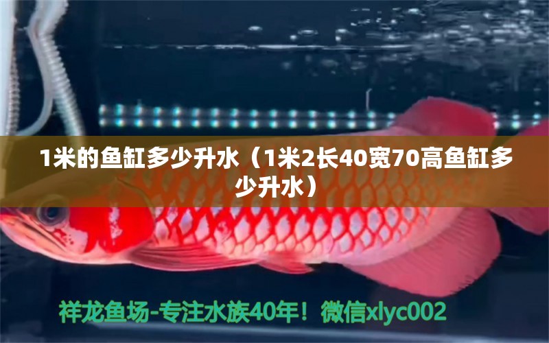 1米的魚缸多少升水（1米2長(zhǎng)40寬70高魚缸多少升水） 其他品牌魚缸