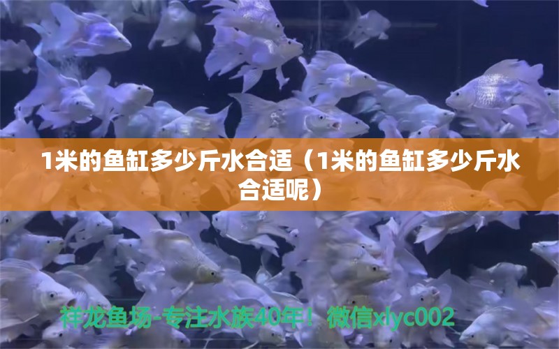 1米的魚缸多少斤水合適（1米的魚缸多少斤水合適呢） 魚缸百科