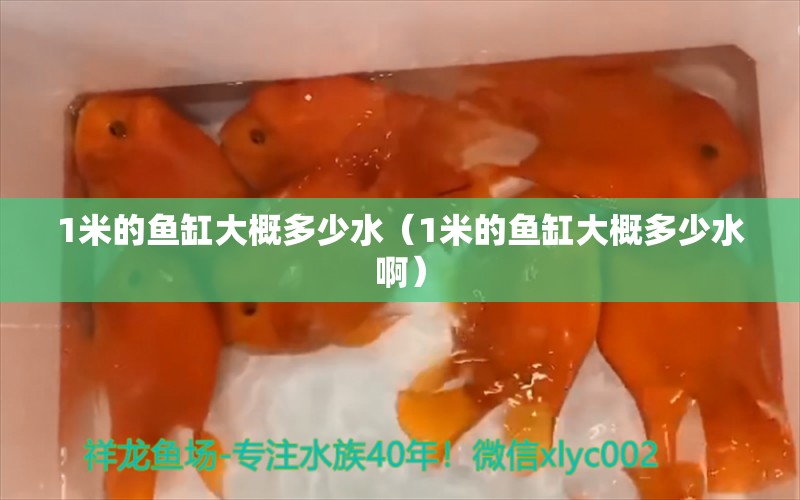 1米的魚缸大概多少水（1米的魚缸大概多少水?。? title=