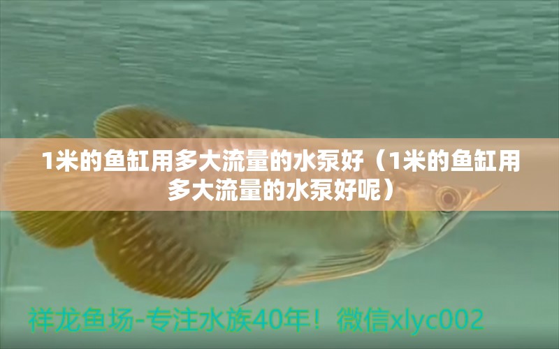 1米的魚缸用多大流量的水泵好（1米的魚缸用多大流量的水泵好呢）