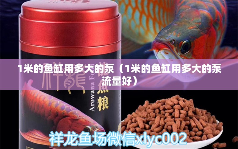 1米的魚缸用多大的泵（1米的魚缸用多大的泵流量好）