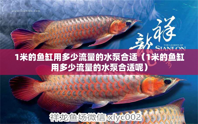 1米的魚缸用多少流量的水泵合適（1米的魚缸用多少流量的水泵合適呢）