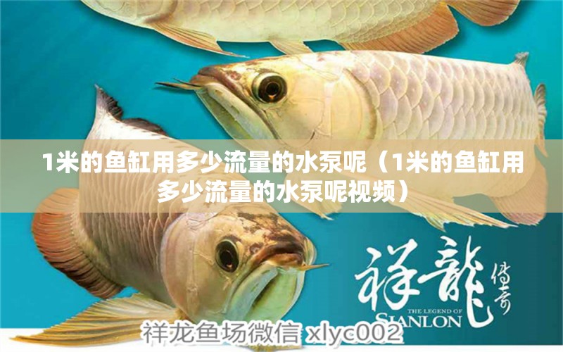 1米的魚缸用多少流量的水泵呢（1米的魚缸用多少流量的水泵呢視頻）