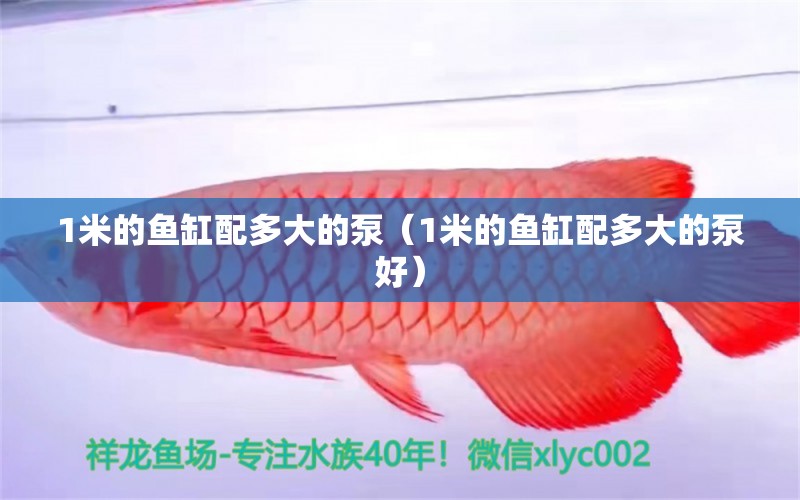 1米的魚缸配多大的泵（1米的魚缸配多大的泵好）