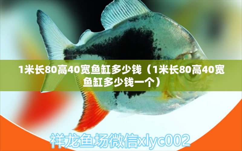 1米長80高40寬魚缸多少錢（1米長80高40寬魚缸多少錢一個）