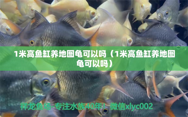 1米高魚缸養(yǎng)地圖龜可以嗎（1米高魚缸養(yǎng)地圖龜可以嗎）