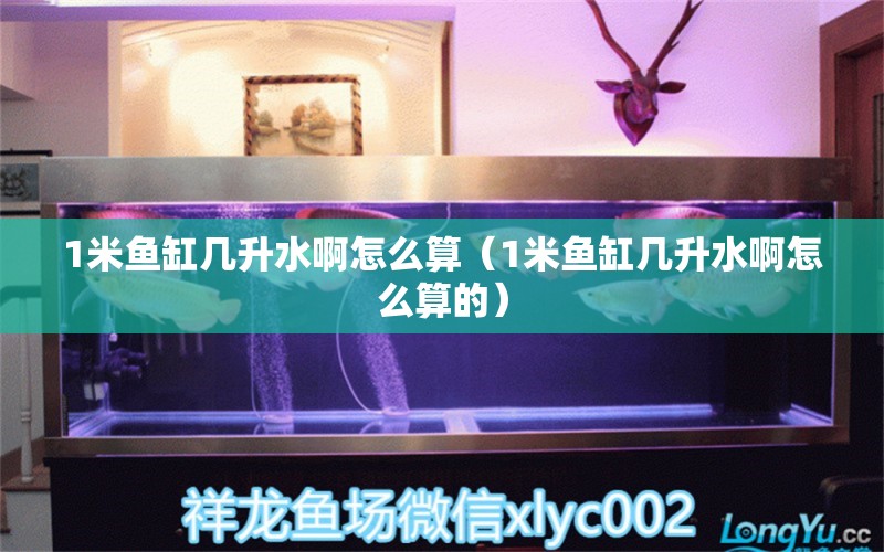 1米魚缸幾升水啊怎么算（1米魚缸幾升水啊怎么算的）