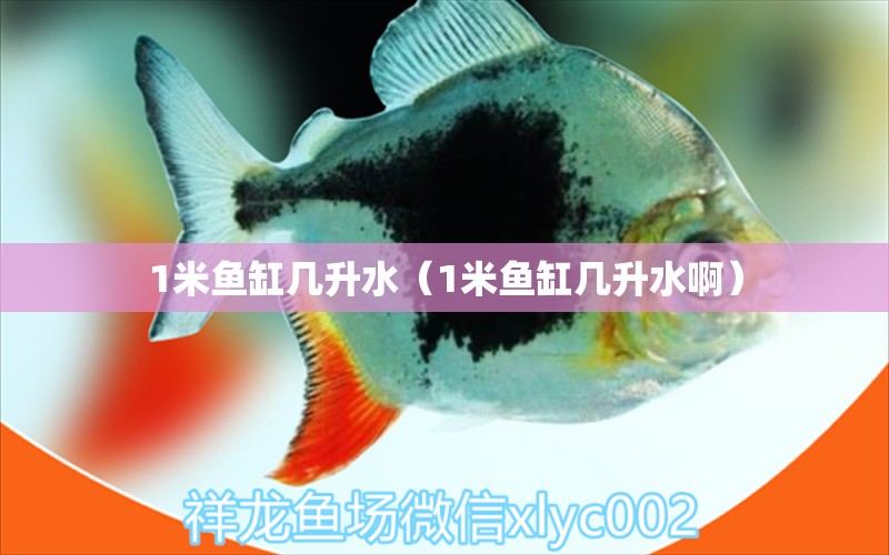 1米魚(yú)缸幾升水（1米魚(yú)缸幾升水?。? title=