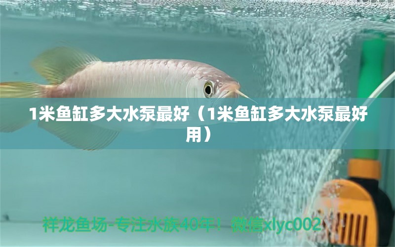 1米魚缸多大水泵最好（1米魚缸多大水泵最好用）