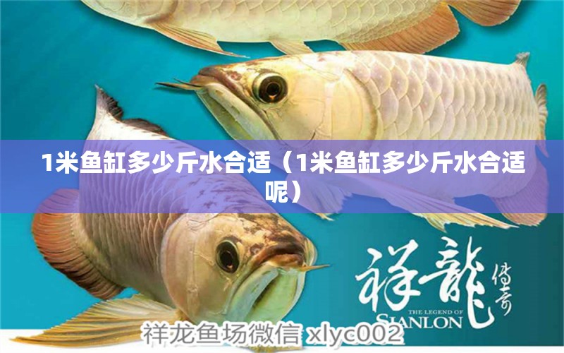 1米魚缸多少斤水合適（1米魚缸多少斤水合適呢）