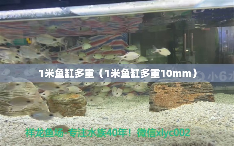 1米魚缸多重（1米魚缸多重10mm）