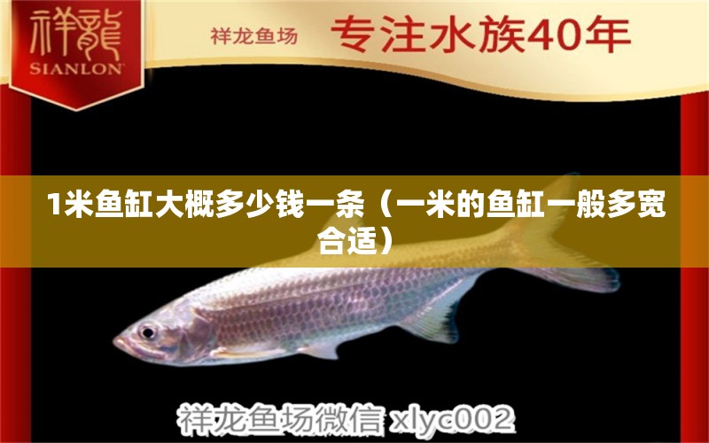 1米魚缸大概多少錢一條（一米的魚缸一般多寬合適） 魚缸百科