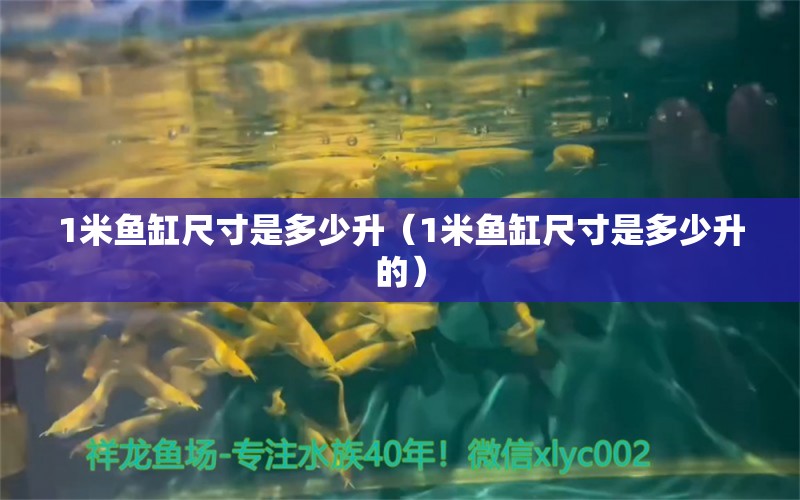 1米魚缸尺寸是多少升（1米魚缸尺寸是多少升的） 魚缸百科