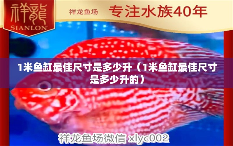 1米魚缸最佳尺寸是多少升（1米魚缸最佳尺寸是多少升的）