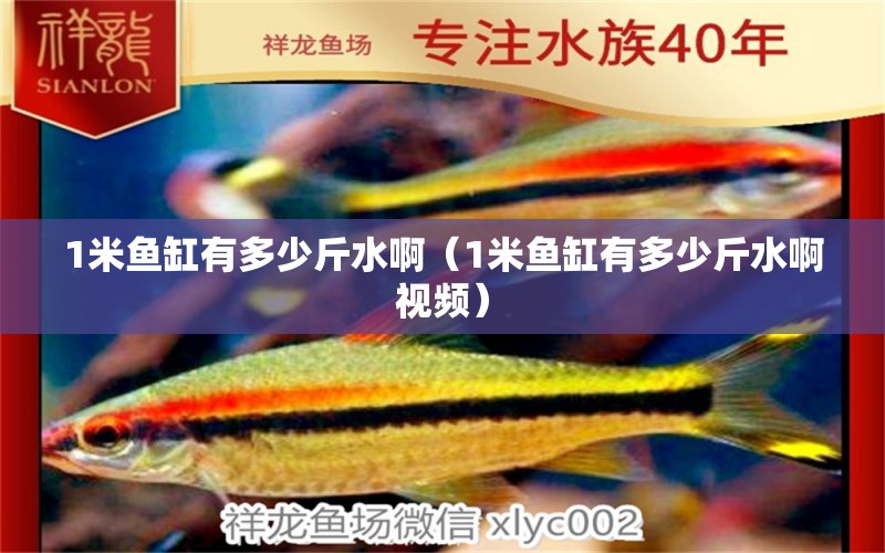 1米魚缸有多少斤水?。?米魚缸有多少斤水啊視頻） 魚缸百科