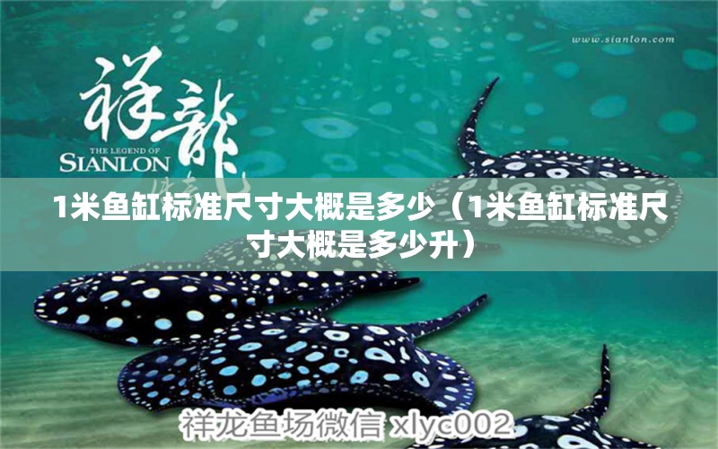 1米魚缸標(biāo)準(zhǔn)尺寸大概是多少（1米魚缸標(biāo)準(zhǔn)尺寸大概是多少升）