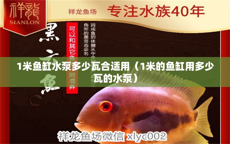 1米魚缸水泵多少瓦合適用（1米的魚缸用多少瓦的水泵）