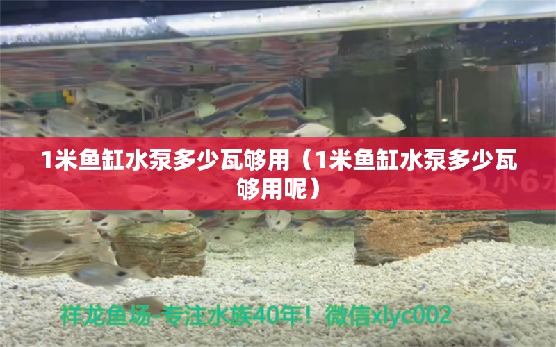 1米魚缸水泵多少瓦夠用（1米魚缸水泵多少瓦夠用呢）