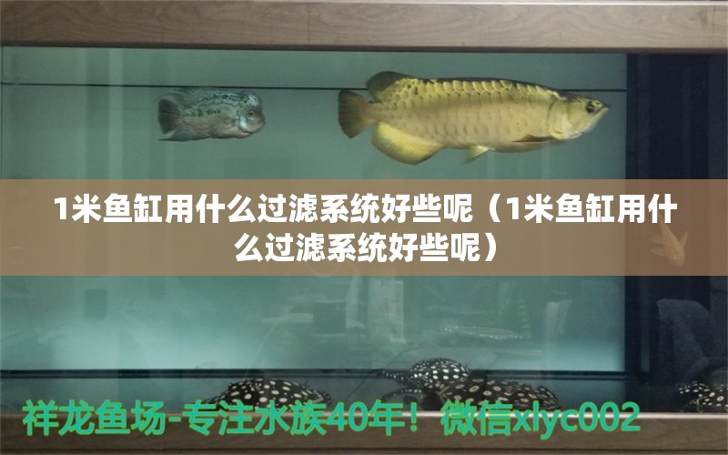 1米魚缸用什么過濾系統(tǒng)好些呢（1米魚缸用什么過濾系統(tǒng)好些呢）