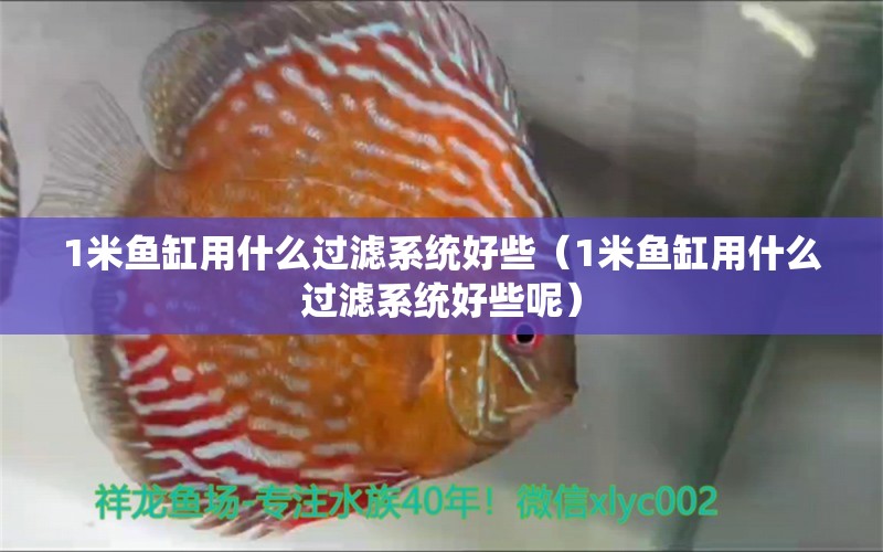 1米魚缸用什么過濾系統(tǒng)好些（1米魚缸用什么過濾系統(tǒng)好些呢）