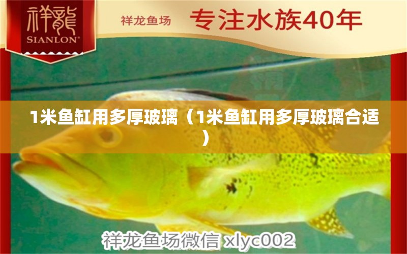 1米魚缸用多厚玻璃（1米魚缸用多厚玻璃合適） 其他品牌魚缸