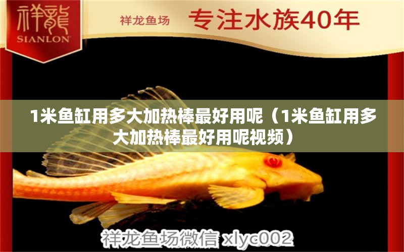 1米魚(yú)缸用多大加熱棒最好用呢（1米魚(yú)缸用多大加熱棒最好用呢視頻） 魚(yú)缸百科