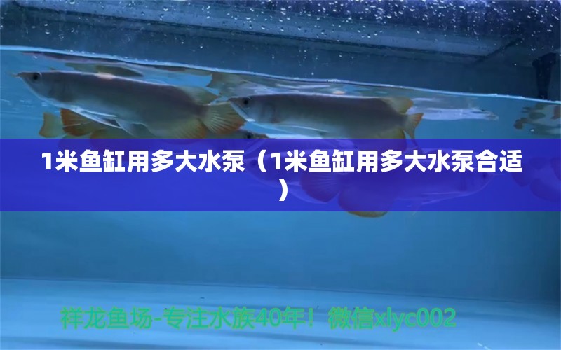 1米魚缸用多大水泵（1米魚缸用多大水泵合適）