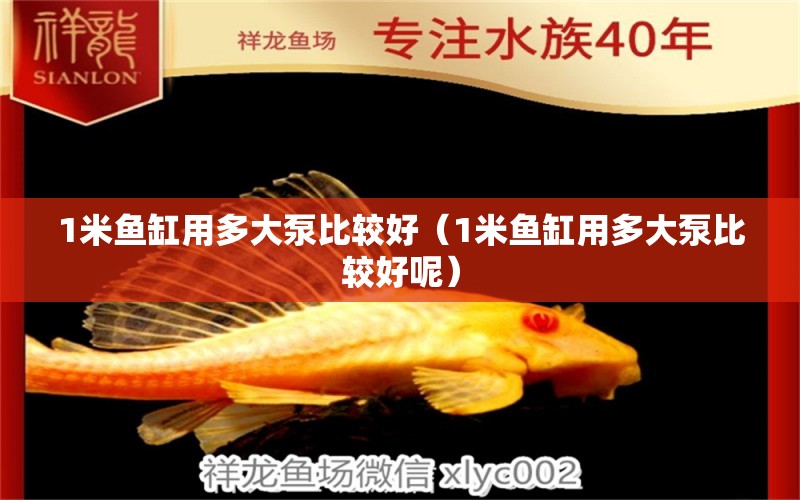 1米魚缸用多大泵比較好（1米魚缸用多大泵比較好呢）