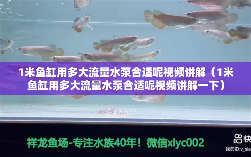 1米魚缸用多大流量水泵合適呢視頻講解（1米魚缸用多大流量水泵合適呢視頻講解一下）