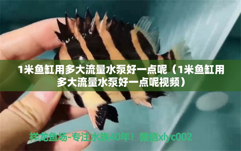 1米魚缸用多大流量水泵好一點(diǎn)呢（1米魚缸用多大流量水泵好一點(diǎn)呢視頻）