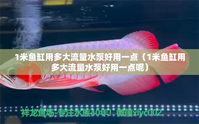 1米魚缸用多大流量水泵好用一點（1米魚缸用多大流量水泵好用一點呢）