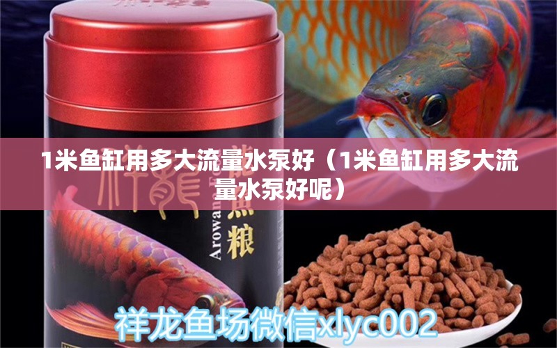 1米魚缸用多大流量水泵好（1米魚缸用多大流量水泵好呢） 魚缸百科