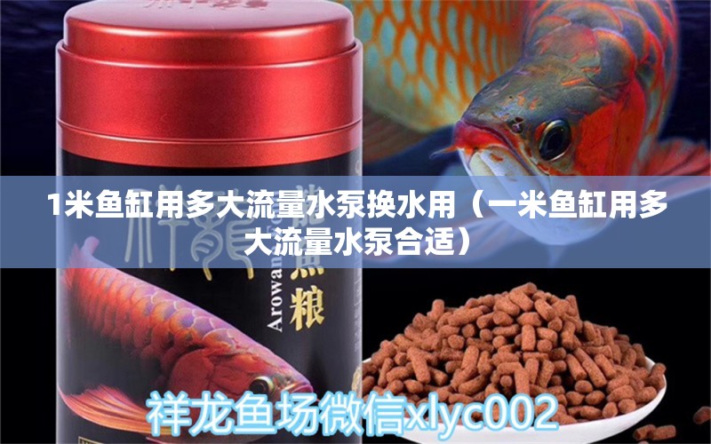 1米魚(yú)缸用多大流量水泵換水用（一米魚(yú)缸用多大流量水泵合適）