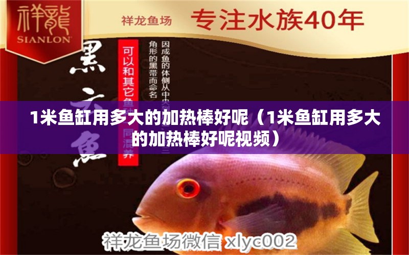 1米魚缸用多大的加熱棒好呢（1米魚缸用多大的加熱棒好呢視頻） 魚缸百科