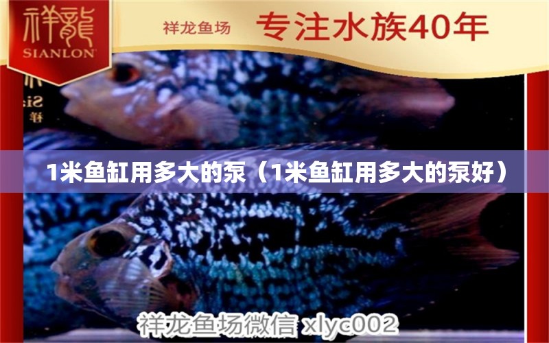 1米魚缸用多大的泵（1米魚缸用多大的泵好）