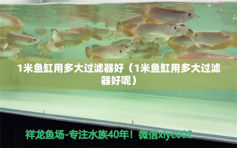 1米魚缸用多大過濾器好（1米魚缸用多大過濾器好呢） 其他品牌魚缸