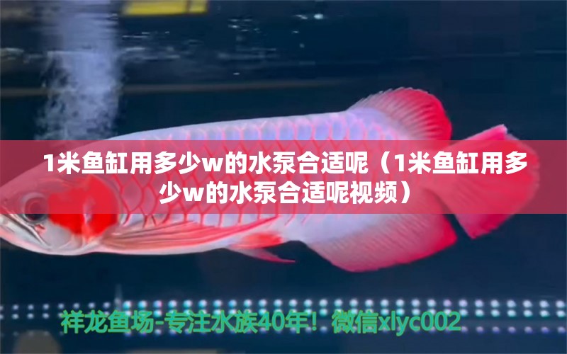 1米魚缸用多少w的水泵合適呢（1米魚缸用多少w的水泵合適呢視頻）