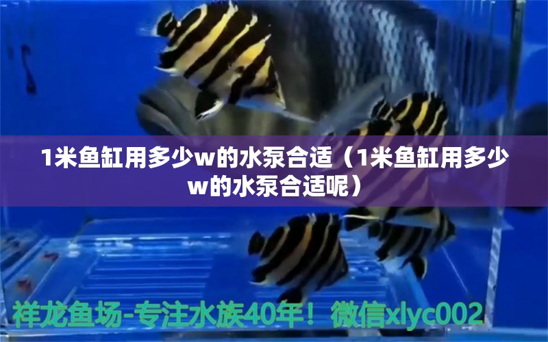 1米魚缸用多少w的水泵合適（1米魚缸用多少w的水泵合適呢）