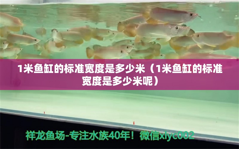 1米魚缸的標準寬度是多少米（1米魚缸的標準寬度是多少米呢）