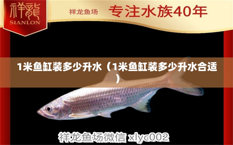 1米魚(yú)缸裝多少升水（1米魚(yú)缸裝多少升水合適）