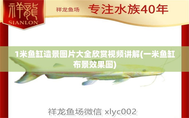 1米魚缸造景圖片大全欣賞視頻講解(一米魚缸布景效果圖) 2024第28屆中國國際寵物水族展覽會CIPS（長城寵物展2024 CIPS）