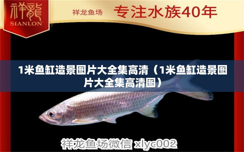 1米魚缸造景圖片大全集高清（1米魚缸造景圖片大全集高清圖）