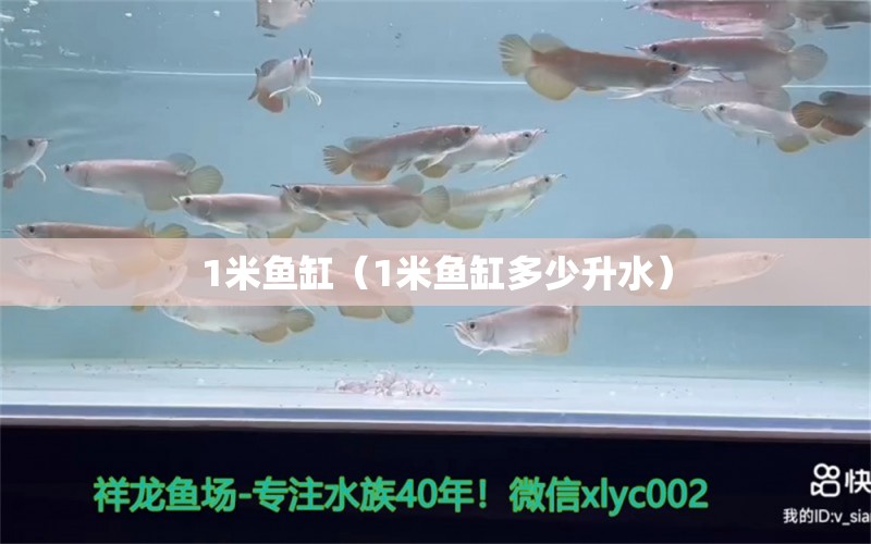 1米魚缸（1米魚缸多少升水）