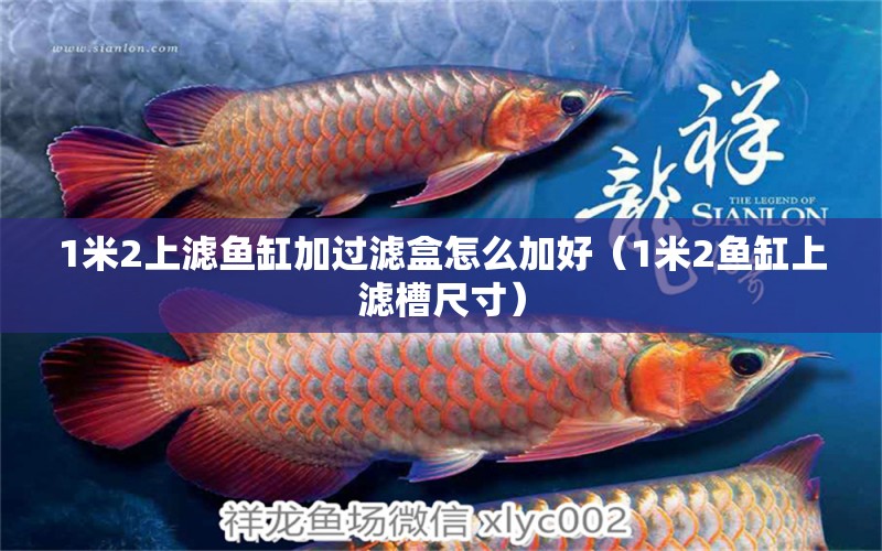 1米2上濾魚缸加過濾盒怎么加好（1米2魚缸上濾槽尺寸） 魚缸百科