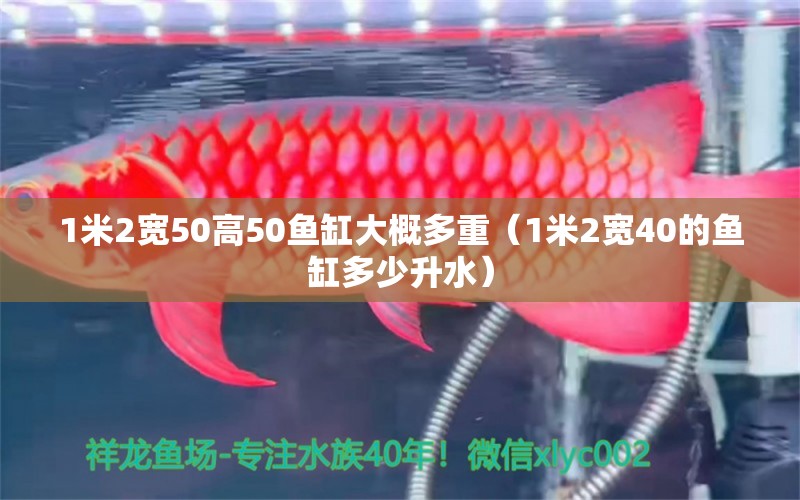 1米2寬50高50魚缸大概多重（1米2寬40的魚缸多少升水） 其他品牌魚缸