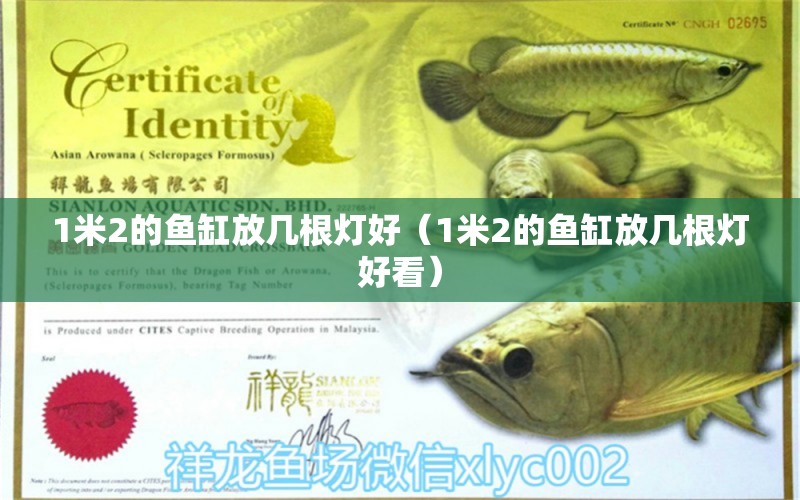 1米2的魚缸放幾根燈好（1米2的魚缸放幾根燈好看）