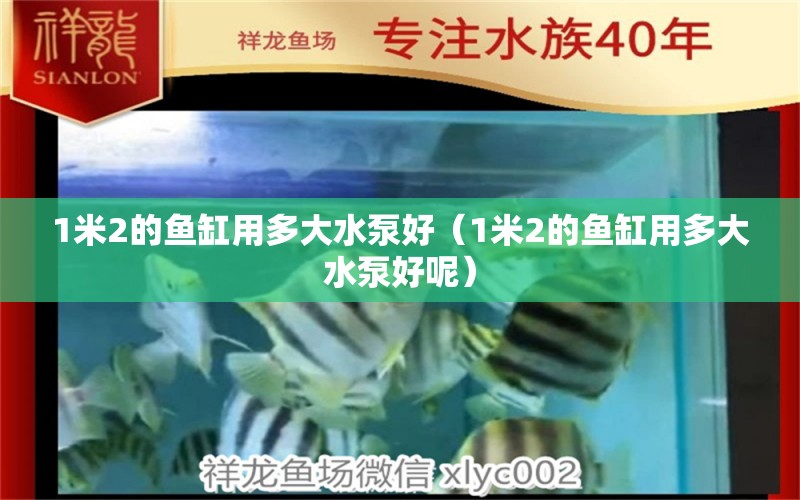 1米2的魚缸用多大水泵好（1米2的魚缸用多大水泵好呢） 魚缸百科