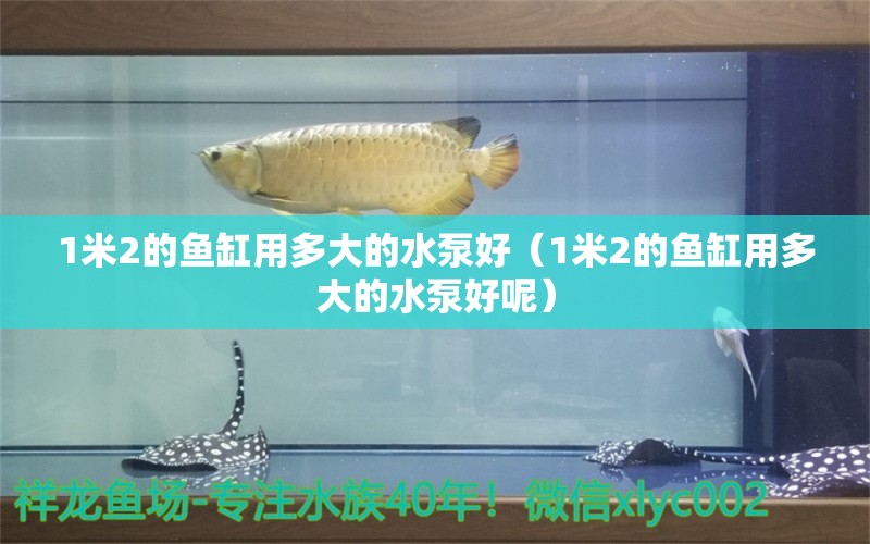 1米2的魚缸用多大的水泵好（1米2的魚缸用多大的水泵好呢） 其他品牌魚缸